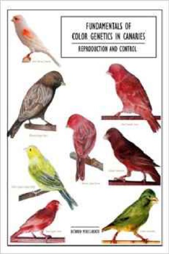 Fundamentals of Color Genetics in Canaries: Reproduction and Control