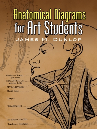 Anatomical Diagrams For The Use Of Art Students