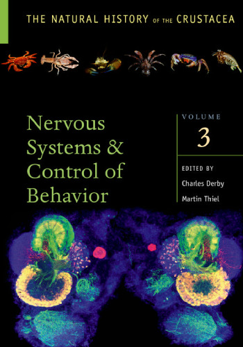 Crustacean nervous systems and their control of behavior