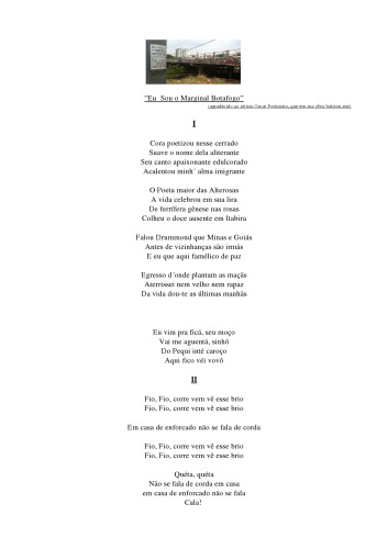 Eu Sou o Marginal Botafogo