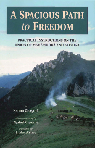 A Spacious Path to Freedom: Practical Instructions on the Union of Mahamudra and Atiyoga