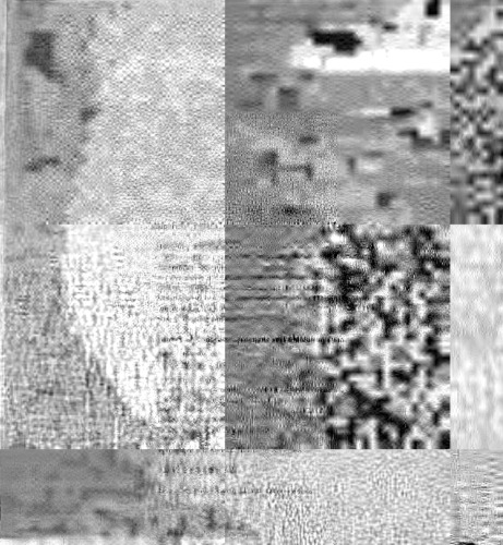 Chocolate to Morphine: Understanding Mind-Active Drugs