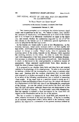 The Visual Acuity of the Bee and Its Relation to Illumination