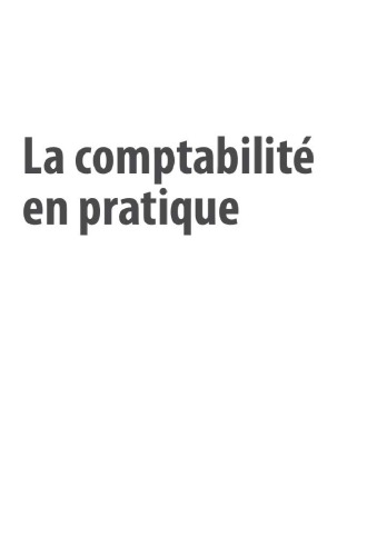 La comptabilité en pratique : Des écritures comptables à l'interprétation des comptes annuels