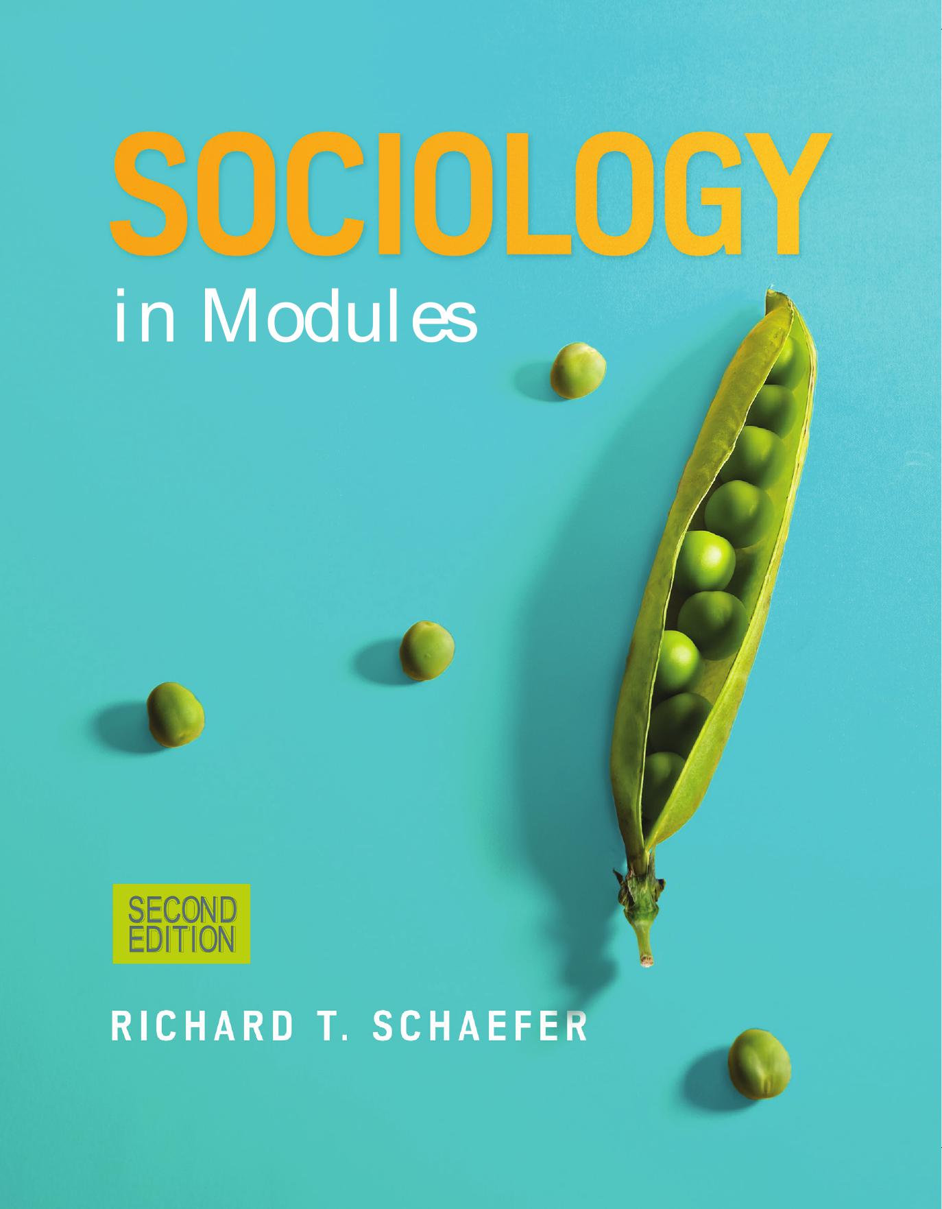 Sociology in Modules