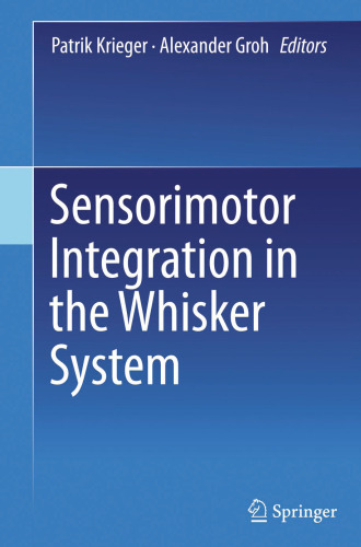 Sensorimotor Integration in the Whisker System