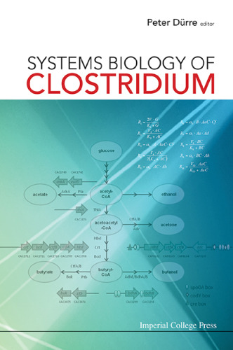 Systems Biology of Clostridium