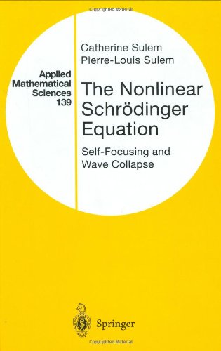 The nonlinear Schroedinger equation: self-focusing and wave collapse