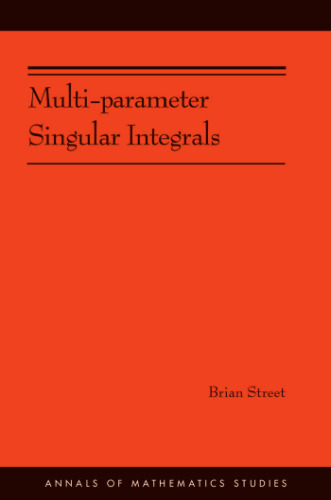 Multi-parameter singular integrals