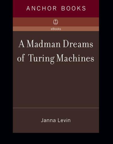 A Madman Dreams of Turing Machines