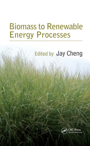 Biomass to Renewable Energy Processes