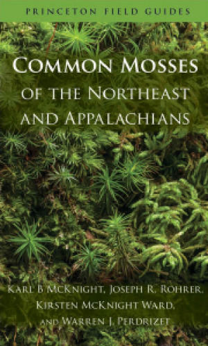 Common mosses of the Northeast and Appalachians