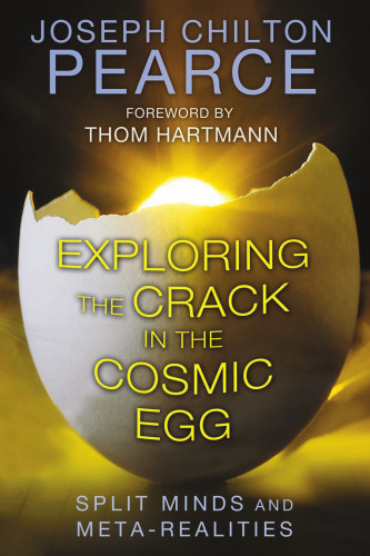Exploring the crack in the cosmic egg : split minds and meta-realities