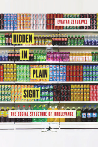 Hidden in Plain Sight: The Social Structure of Irrelevance