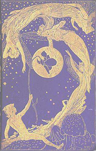 The violet fairy book