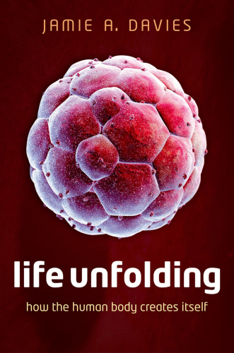Life unfolding : how the human body creates itself
