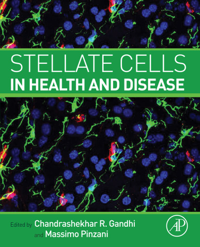 Stellate cells in health and disease