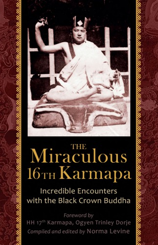 The Miraculous 16th Karmapa: Incredible Encounters with the Black Crown Buddha