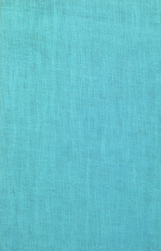 Himalayan Blunder: The Curtain-Raiser to the Sino-Indian War of 1962