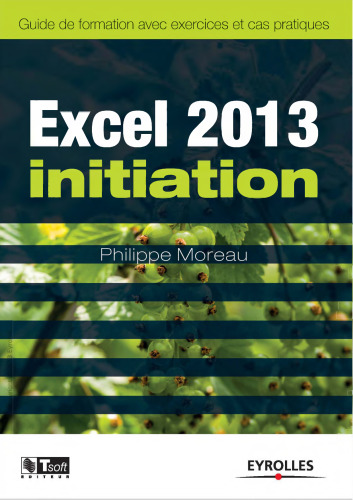 Excel 2013 initiation : Guide de formation avec exercices et cas pratiques