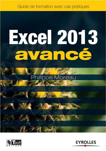Excel 2013 avancé : Guide de formation avec cas pratiques