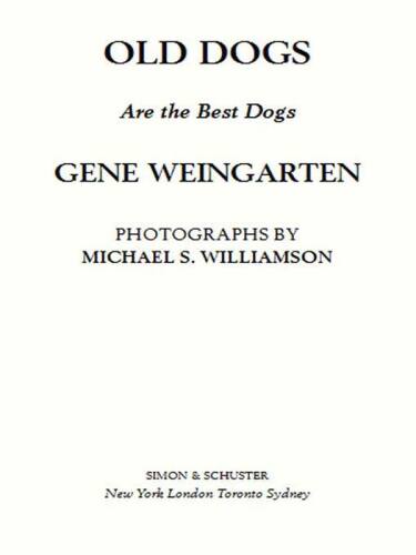 Old Dogs: Are the Best Dogs