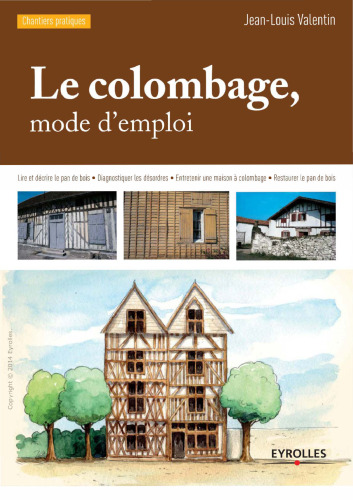 Le colombage, mode d'emploi : Lire et décrire le pan de bois, Diagnostiquer les désordres