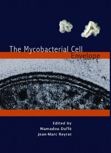 The Mycobacterial Cell Envelope