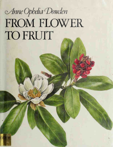From Flower to Fruit