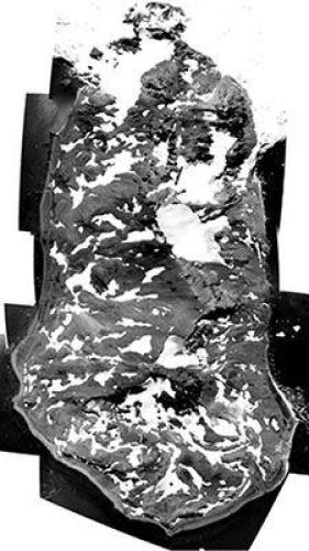 Inovações Ambientais. Políticas Públicas, Tecnologias e Oportunidades de Negócio