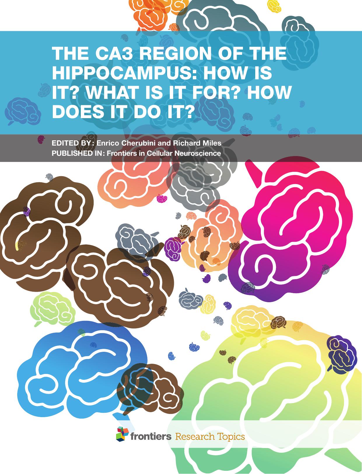 The CA3 region of the hippocampus: how is it? what is it for? how does it do it?