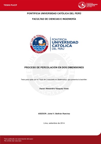 Procesos de Percolación en Dos Dimensiones [thesis]