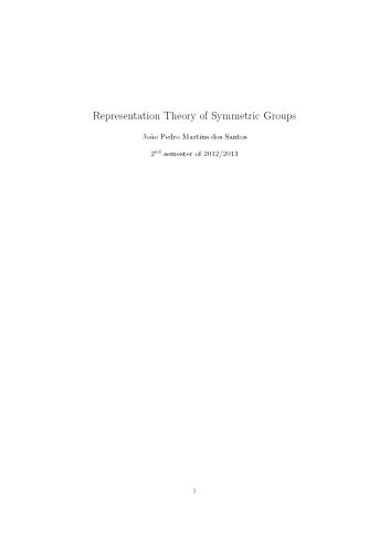 Representation Theory of Symmetric Groups [expository notes]