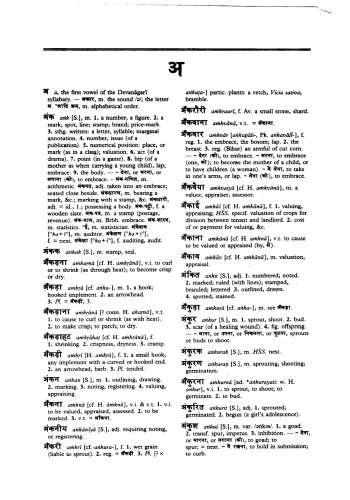The Oxford Hindi-English dictionary