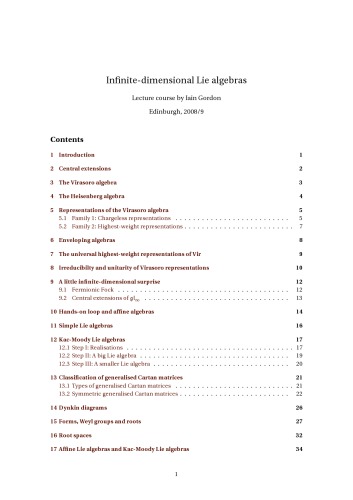 Infinite-dimensional Lie algebras