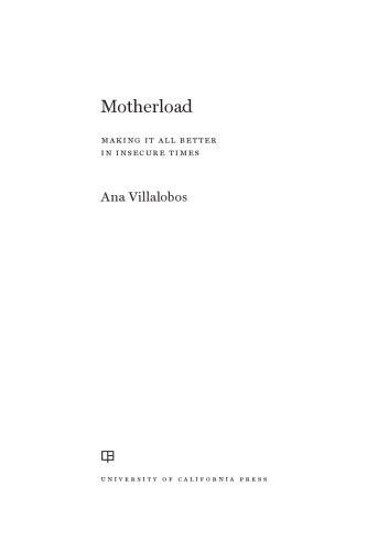 Motherload: Making It All Better in Insecure Times