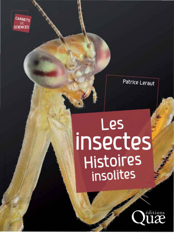 les insectes ; histoires insolites