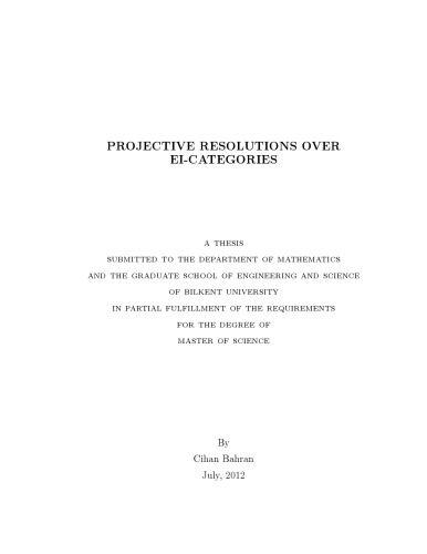Projective resolutions over EI-Categories [Master thesis]