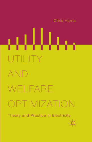 Utility and Welfare Optimization: Theory and Practice in Electricity