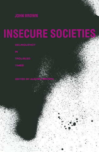 Insecure Societies: Delinquency in Troubled Times