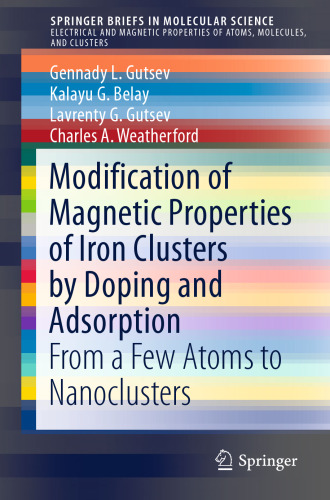 Modification of Magnetic Properties of Iron Clusters by Doping and Adsorption: From a Few Atoms to Nanoclusters