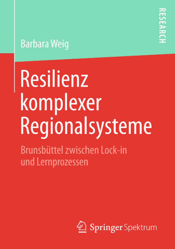 Resilienz komplexer Regionalsysteme: Brunsbüttel zwischen Lock-in und Lernprozessen