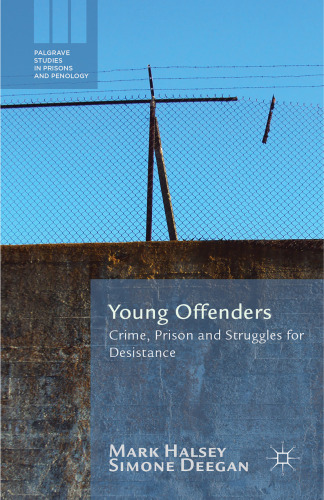 Young Offenders: Crime, Prison and Struggles for Desistance
