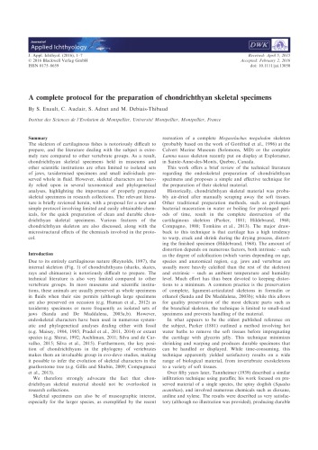 A complete protocol for the preparation of chondrichthyan skeletal specimens