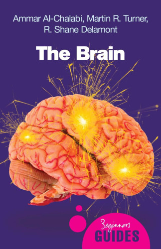 The brain : a beginner's guide