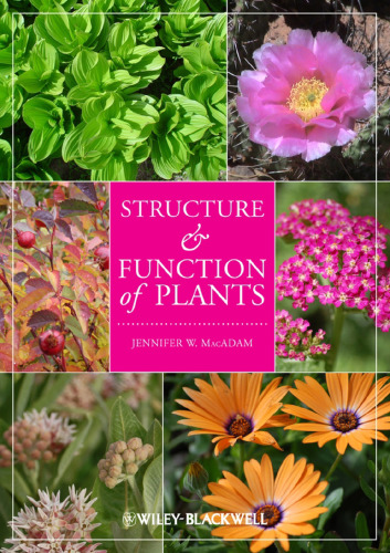 Structure and function of plants