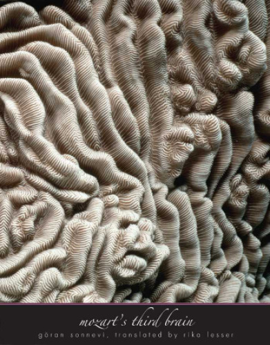 Mozart's third brain