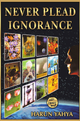 Never plead ignorance