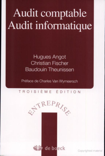 Audit comptable, Audit informatique