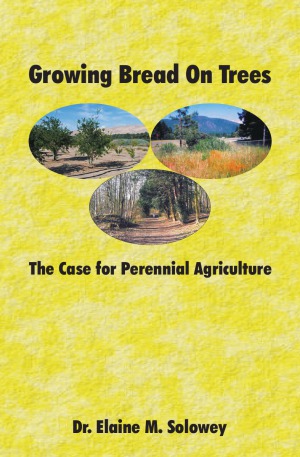 Growing Bread on Trees  The Case for Perennial Agriculture